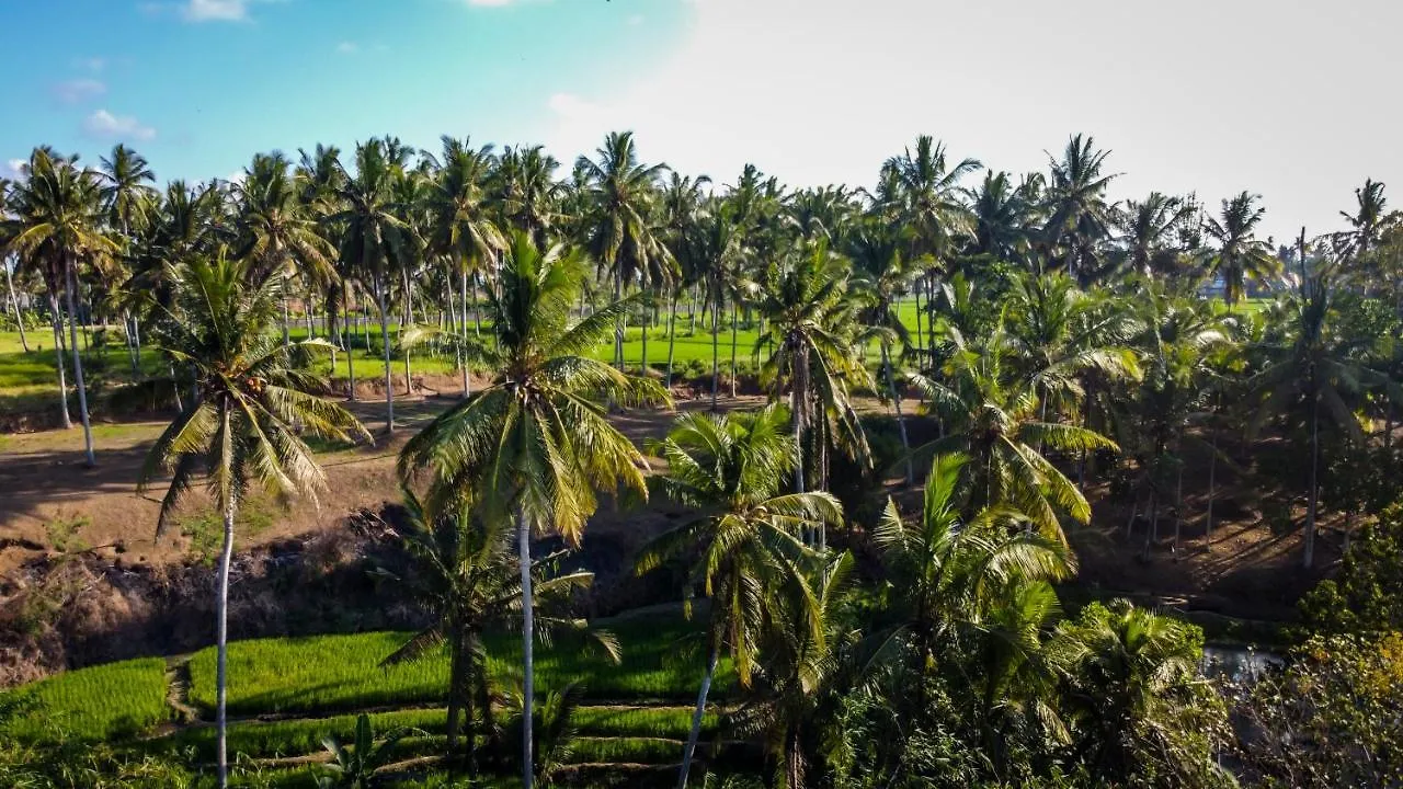Daire Villa Balinese Monkeys By Balisuperhost Ubud